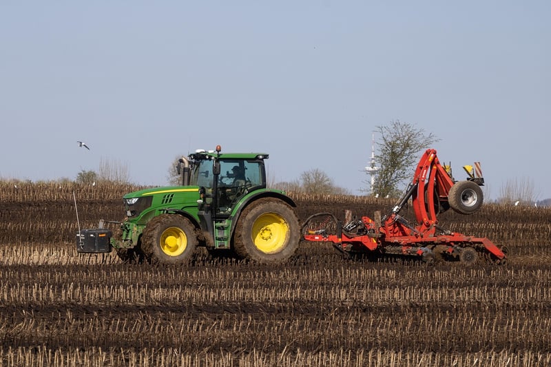 Fertilizing Schedule